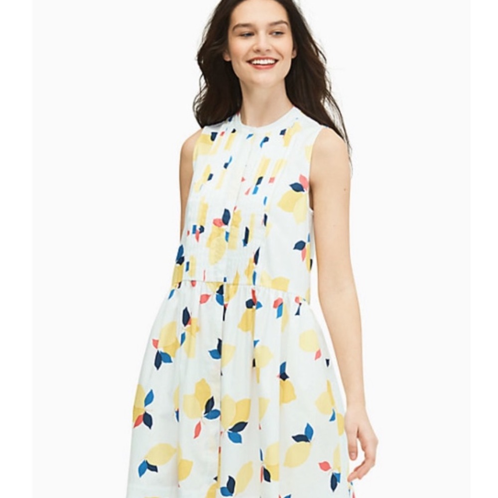 Kate Spade Lemon Zest Shirt Dress